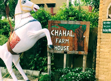 Chahal Village Stay Amritsar